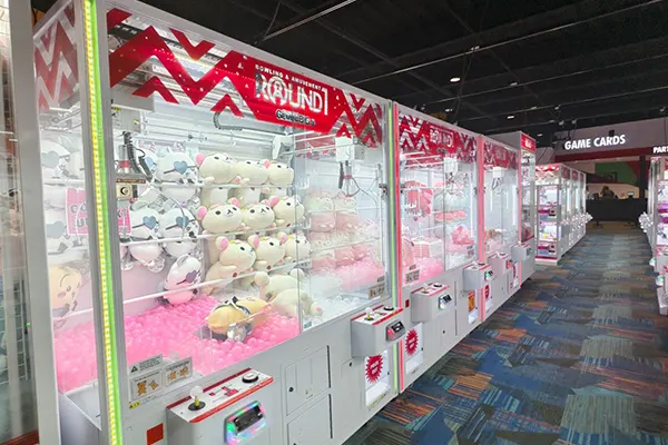 Family Amusement Center Turnkey Project